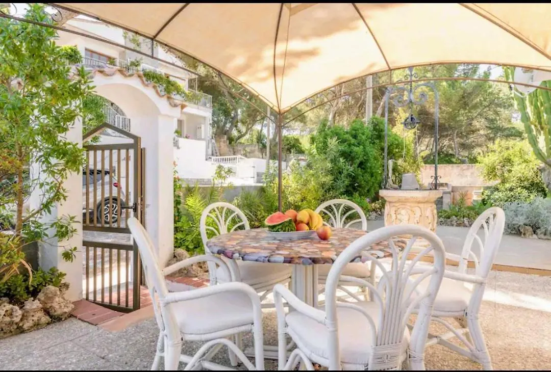 Casa Cactus location